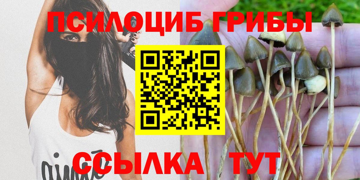 Галлюциногенные грибы ЛСД Железноводск