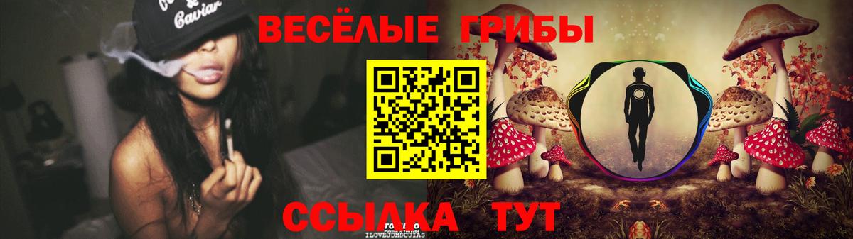 Псилоцибиновые грибы мицелий  Псилоцибиновые грибы Psilocybine cubensis  Железноводск  Вход с VPN 
